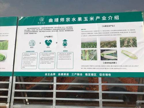 推廣有機肥改良土壤結構，云南國發助力師宗煙草綠色高質量發展